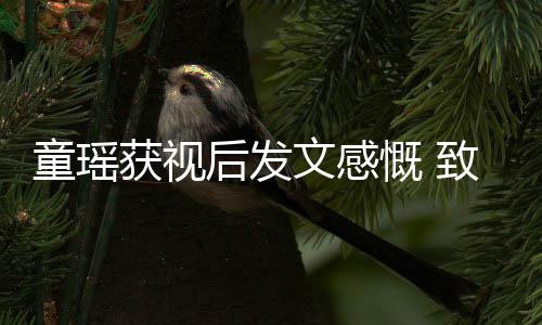 不言演员童瑶放弃致敬获视后发慨 文感的女所有