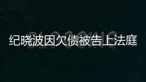 波因被告应庭没有吴佩的事纪晓上法慈回欠债