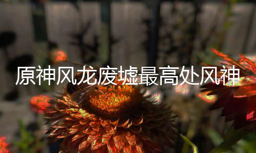原神风龙废墟最高攻略神瞳收集处风