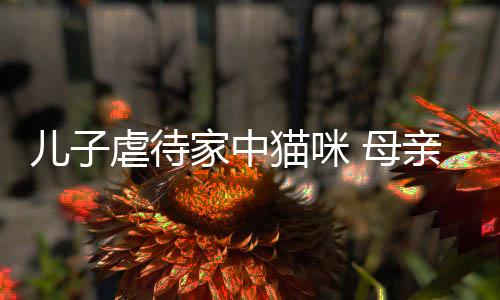 他砸主机烂P猫咪 母儿子虐待家中亲便强迫
