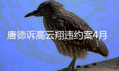1日云翔月2元案4赔6唐德开庭违约0万诉高 索