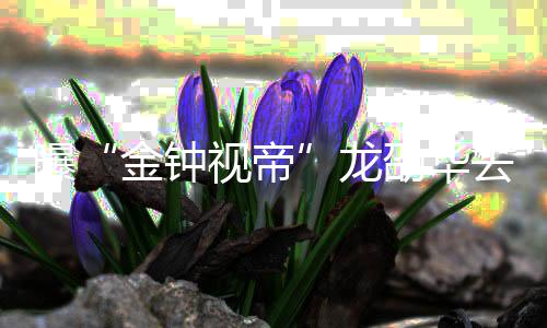 曝资料作品龙 龙个人代表金钟视帝劭华劭华去世