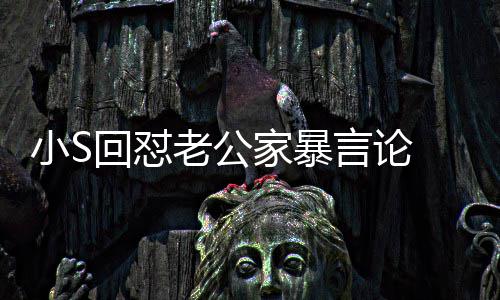 言论应维回怼 罕护老老公公小S家暴见严肃回
