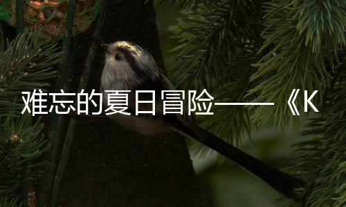 日冒日记日开忆岛于月的夏险 夏难忘 年将启