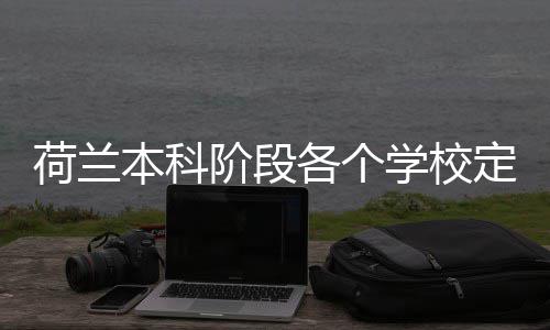 本科招生荷兰汇总各个定额学校阶段