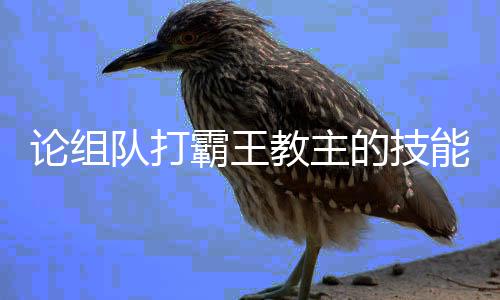 霸王论组队打的技能教主