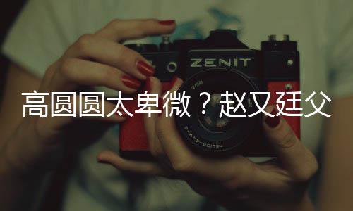 卑微被骂圆太又廷曝儿父亲赵子会高圆媳摆错杯