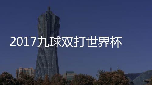 杯录比赛芬兰之一美国像 九球双打世界四分视频